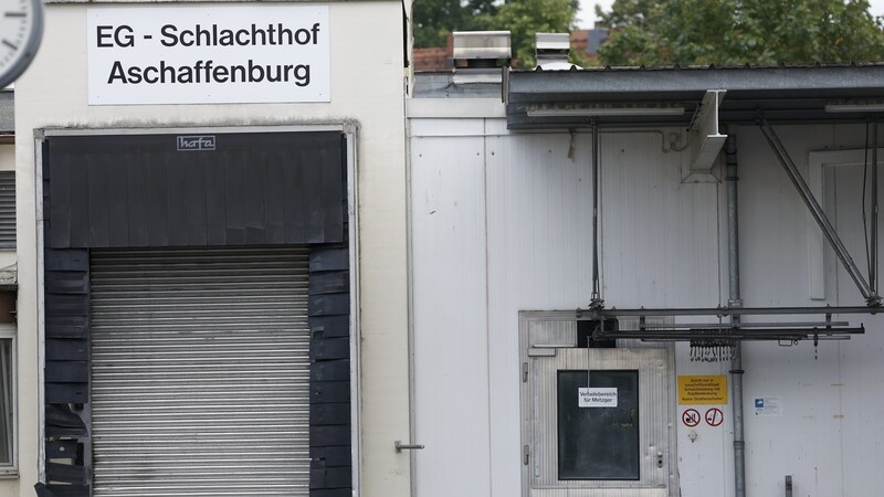 Ermittlungen wegen Tierquälerei in einem Schlachthof in Aschaffenburg. Nach Vorwürfen gegen einen Schlachthof in Aschaffenburg hat die Staatsanwaltschaft Ermittlungen wegen des Verdachts der quälerischen Tiermisshandlung aufgenommen.