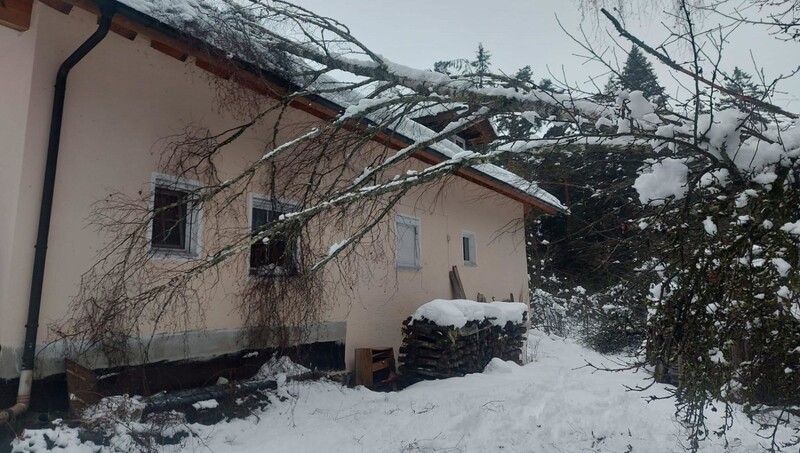 Ein Baum beschädigte ein Haus in Moosbach. 