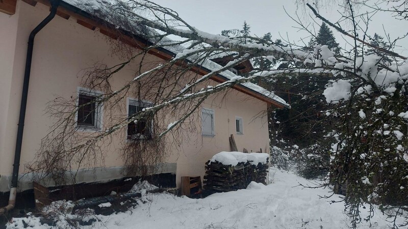 Ein Baum beschädigte ein Haus in Moosbach.