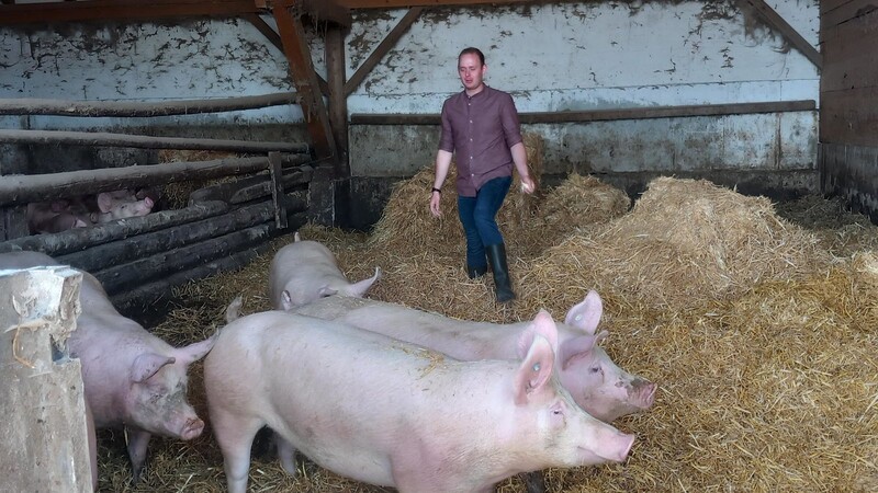 Der Hofnachfolger hält auf seinem Betrieb mittlerweile auch Schweine auf Stroh und vermarktet diese über einen hiesigen Metzger.