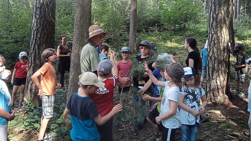 Jäger Frieder Schwarz erklärte den Kindern die verschiedenen Baumarten.