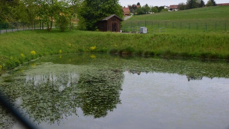 Mitten im Grün: die Kläranlage Bernried. Künftig soll das Abwasser in Rötz entsorgt werden.