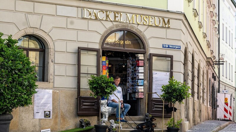 Das Dackelmuseum wird nach Regensburg kommen. (Archivbild)