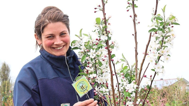 Katharina Gleixner rät zum Baum. Gerne darf es ein reich blühendes Obstgehölz sein. "Ein Baum ist wichtig für die Artenvielfalt", sagt sie.  Fotos: