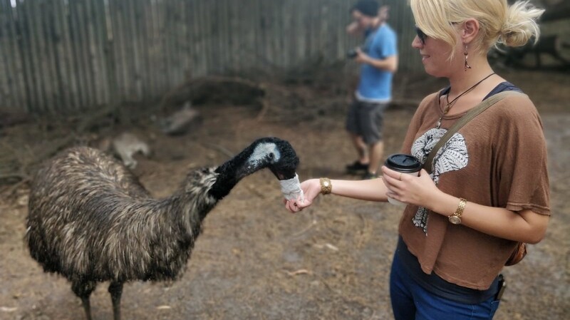 Nicole bei der Emu-Fütterung.