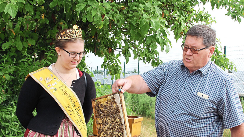 Otto Kötterl präsentiert der Honigprinzessin Doris Grünbauer die Waben aus den aufgestellten Bienenkästen.