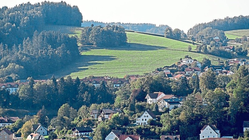 Das Baugebiet "Schinderbuckel" soll nach Westen erweitert werden. Gegen eine Bebauung der 2,3 Hektar großen Grünfläche unter dem Jägerkreuz regt sich Widerstand aus der Bevölkerung.