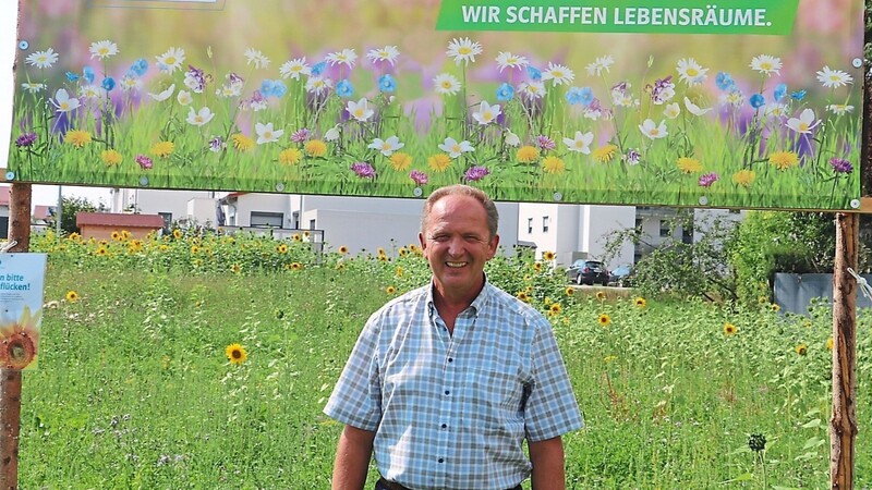 Dass Donaustauf mit ihm als Bürgermeister aufblühen würde, davon ist Christian Blüml überzeugt. Auf dem Bild ist er auf einer von mehreren Blühflächen - hier in der Eglseer Straße - zu sehen, die er als passionierter Jäger in der Gemeinde in Eigenregie angelegt hat.