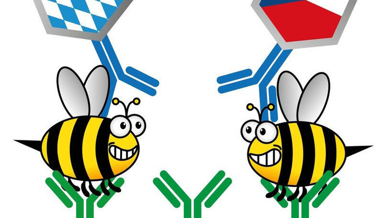 Bayerisch-tschechisches Forschungsprojekt Bienen