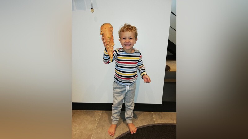 Leo Schmalzl hat wahrlich einen Riesen-Fund gemacht: Diese 750 Gramm schwere Karotte, wuchs im Gemüsegarten bei seinem Opa in Kienoden.
