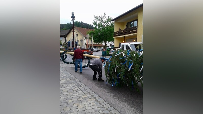 Mit dem Traktor wurden Baum und die ebenfalls von Bürgermeister Josef Häring gespendete Gipfeltanne zum Dorfplatz gebracht.