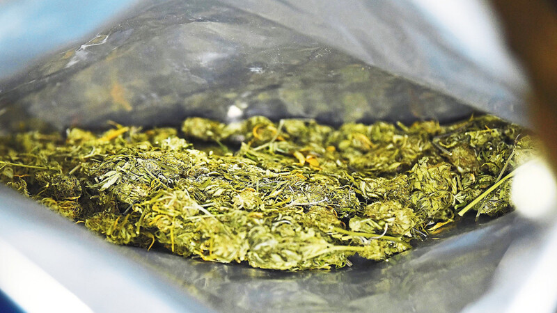 In Hohenau fanden Schleierfahnder in einem Auto rund 800 Gramm Marihuana (Symbolbild).