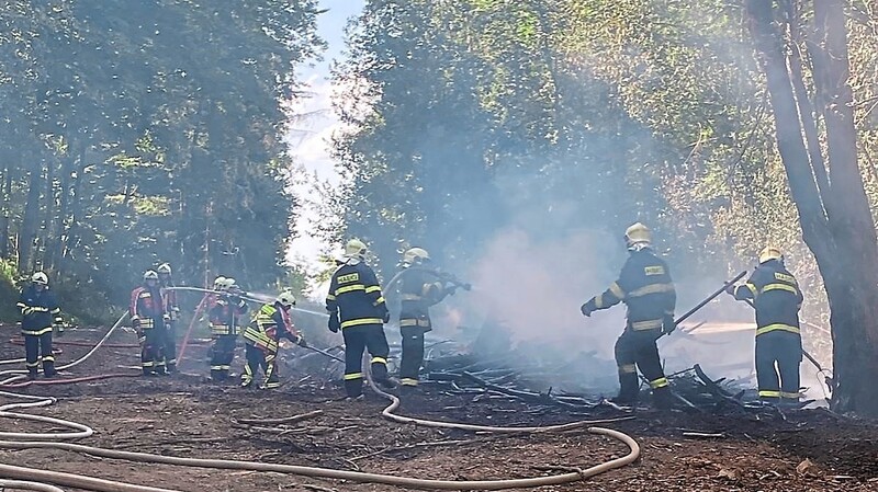 Glimpflich ging der Brand auf einem Holzlagerplatz im Wald auf tschechischer Seite aus.