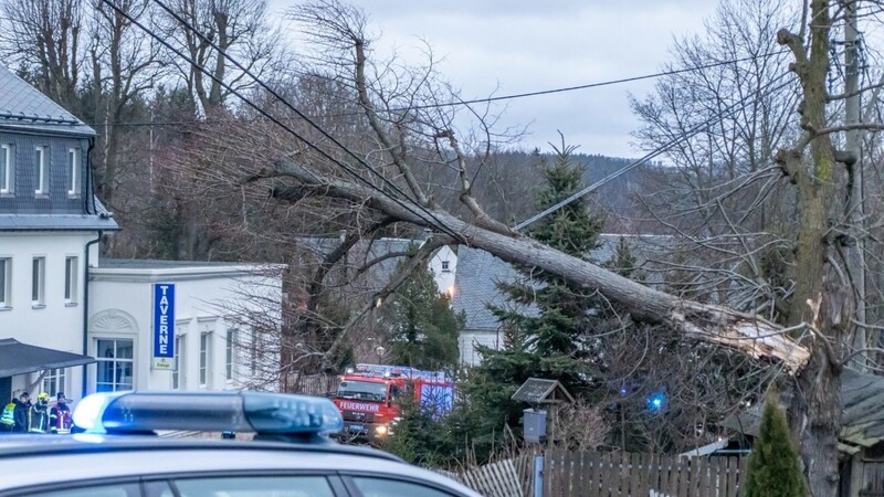 Die Feuerwehr in Thum (Sachsen) räumt einen umgestürzten Baum von der Straße, der auf der Bundesstraße 95 in eine Freileitung gefallen war.
