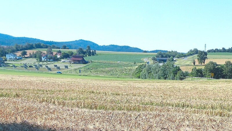 Auf diesem Gerstenfeld (vorne) und auf der gegenüberliegenden Fläche oberhalb Trefling sollen Freiflächenphotovoltaik-Anlagen entstehen.