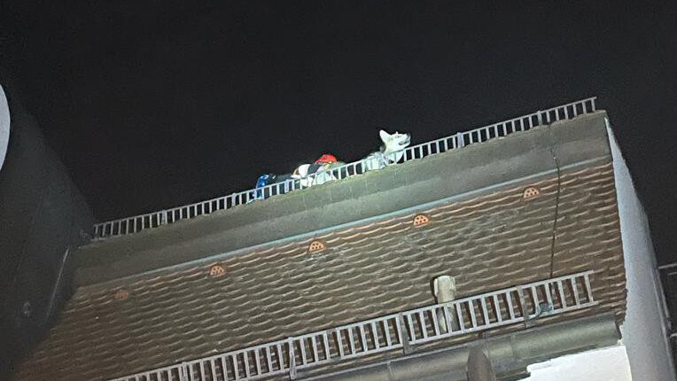 Die Feuerwehr Landshut rettete am Freitagabend eine Hündin von einem Hausdach.