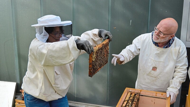 Theo Listl hilft einer Nachwuchsimkerin bei der Betreuung ihres Bienenvolkes.