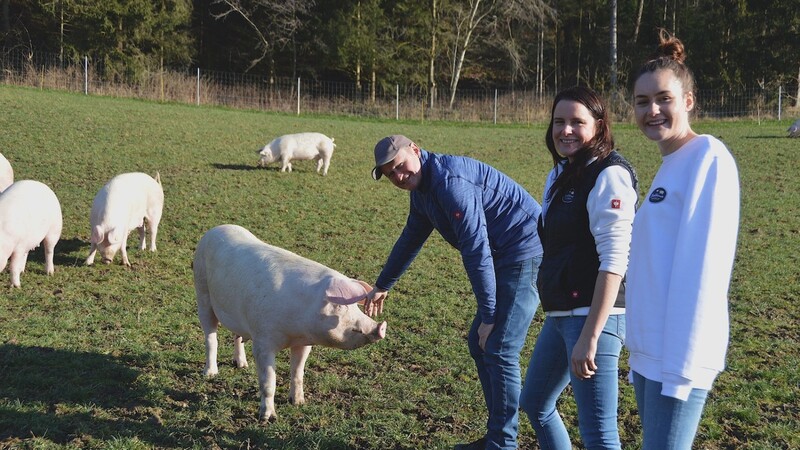 Alois, Regina und Kathi Mühlbauer besuchen ihre Muttersauen auf der Schweineweide.