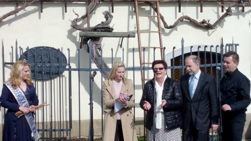 Bürgermeisterin Eva Bönig und Bürgermeister Miha Je?e (2. und 3. v.r.) bei der festlichen Übergabe eines Abkömmlings der ältesten Weinrebe der Welt in Maribor.