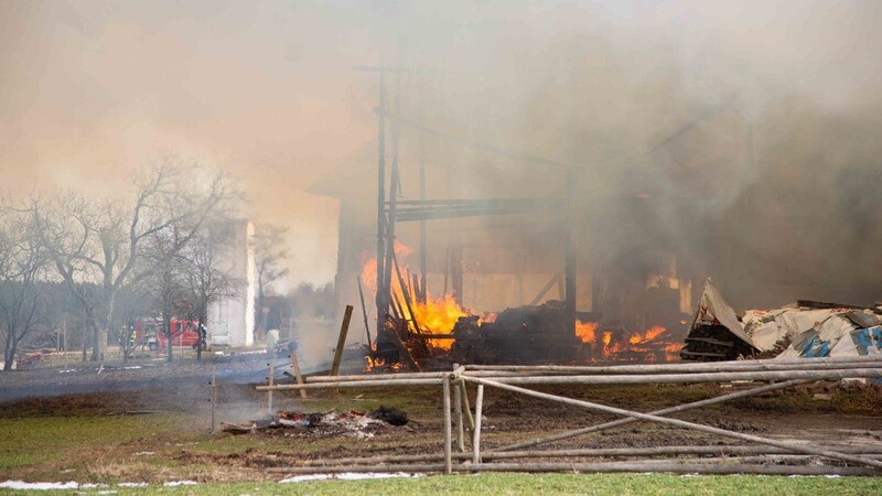 Auf einem Bauernhof in Adlkofen brach am Samstagnachmittag ein Feuer aus.