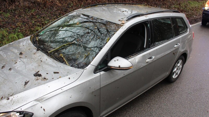 Bei Lerchenhaid ist kurz vor Freitagmittag ein Baum auf ein Auto gefallen. Im Einsatz waren die Löschzüge Alburg und Zentrum.