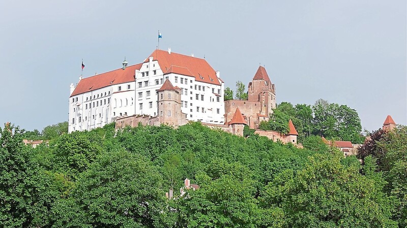 Bereits 2015 wurden Hangrisse im Bereich um die Kernburg gesichert. Nun soll die große Baumaßnahme zur Sicherung der Burganlage beginnen.