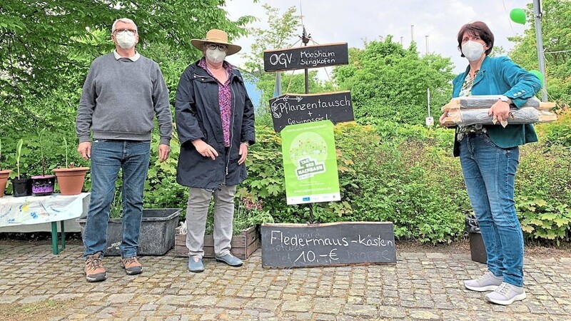 Für alle Blumen- und Gartenfreunde veranstaltete der OGV Moosham-Sengkofen vor dem Rathaus eine Pflanzentauschbörse.