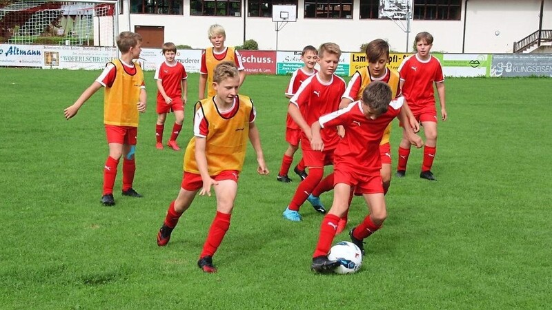 Vom 3. bis 8. August findet im Osserstadion wieder die SpVgg-Fußballschule statt.