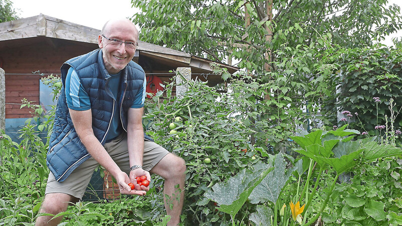 Im Gemüsebeet von Hermann Simma wachsen unter anderem Tomaten, Zucchini und Salat.