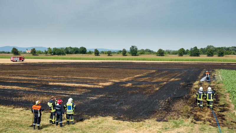 Etwa drei Hektar Feld brannten am Samstag bei Kagers. Foto: Mathias Adam