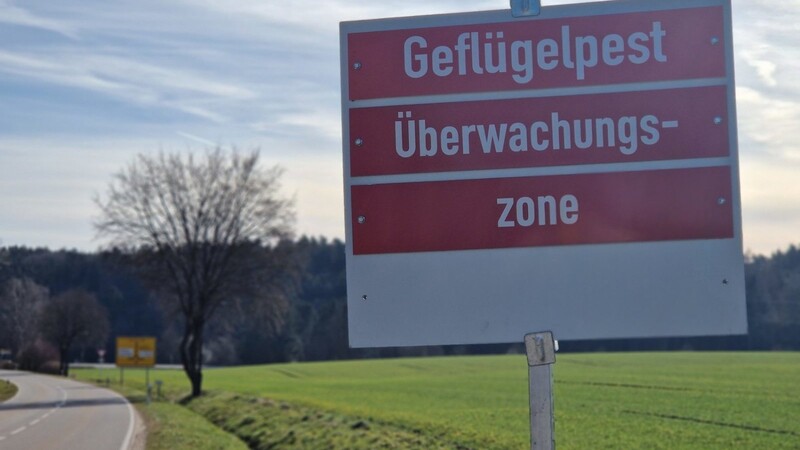 Im Raum Rottenburg können die Beschränkungen für Geflügelhalter voraussichtlich am 25. März aufgehoben werden.