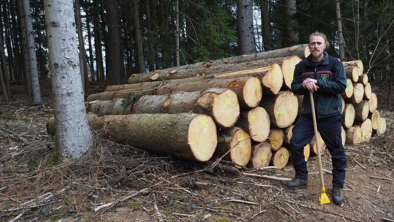 Revierleiter Joshija Späthe appelliert, das im Winter geschlagene Käferholz zeitnah aus dem Wald abzufahren, bevor der Käfer nach der Winterruhe wieder in Massen ausfliegt und benachbarte Stämme befällt.
