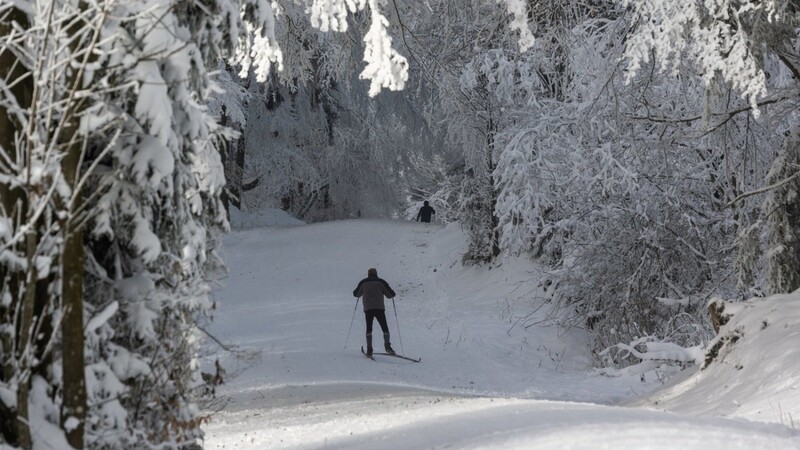 Ein Skilangläufer ist auf dem Berg Rusel im Landkreis Deggendorf im Schnee unterwegs. Die Wintersaison an der Rusel hat begonnen. (Archivbild)