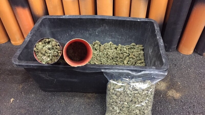 Die Beamten stellten über 230 Kilogramm Marihuana sicher.