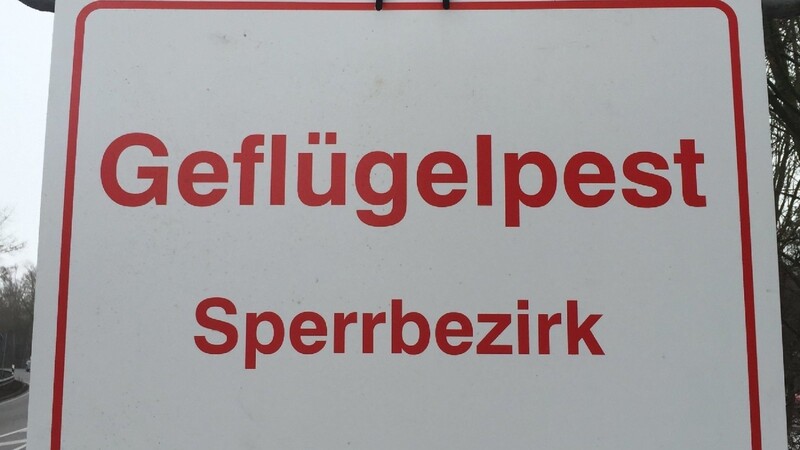 Bereits seit Montag laufen die amtstierärztlichen Untersuchungen im Geflügelpest-Sperrbezirk Lappersdorf.
