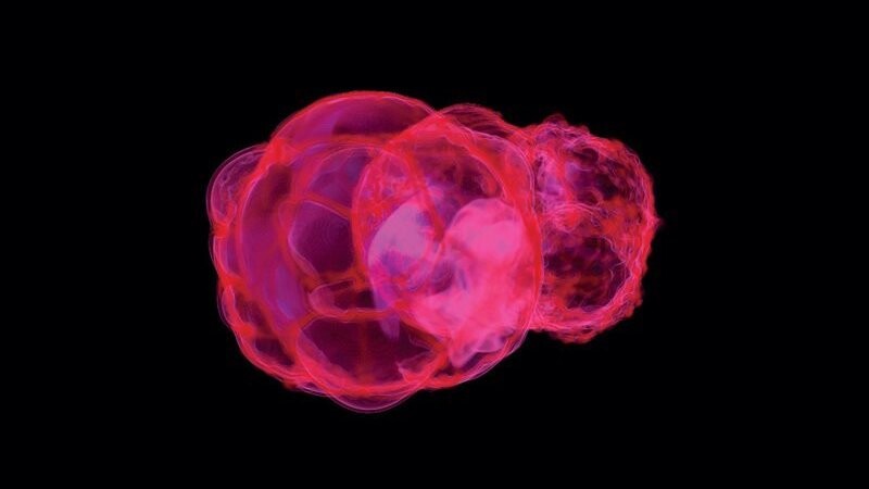 Forschungen an radioaktiven Tiefsee-Sedimenten haben neue Erkenntnisse über Alter und Entfernung von Supernova-Explosionen in Nähe der Erde erbracht.
