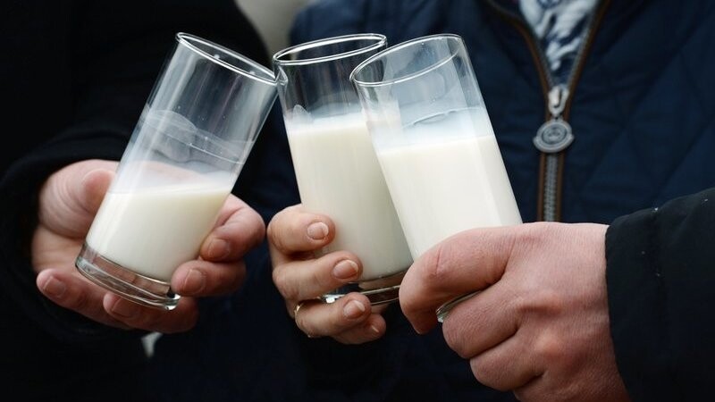 Drei Gläser Milch werden am 23.03.2016 vor dem Brandenburger Tor aneinander gehalten. Der Deutsche Bauernverband protestiert mit einem bundesweiten Aktionstag gegen Schleuderpreise für Lebensmittel.