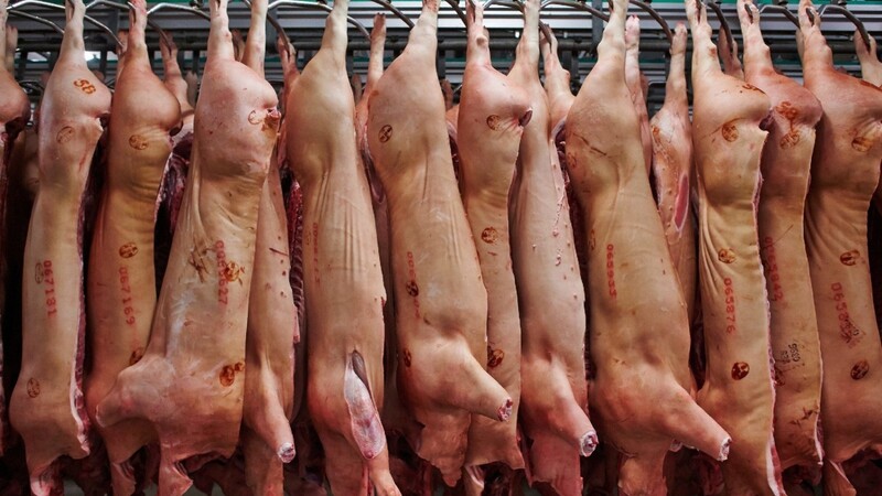 Schweinehälften in der Produktionshalle eines Fleischunternehmens (Archivbild)
