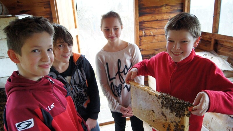 Tauchen ein in die Welt der Bienen: Nachwuchsimker am Robert-Schuman-Gymnasium in Cham. (Foto: Robert-Schuman-Gymnasium)