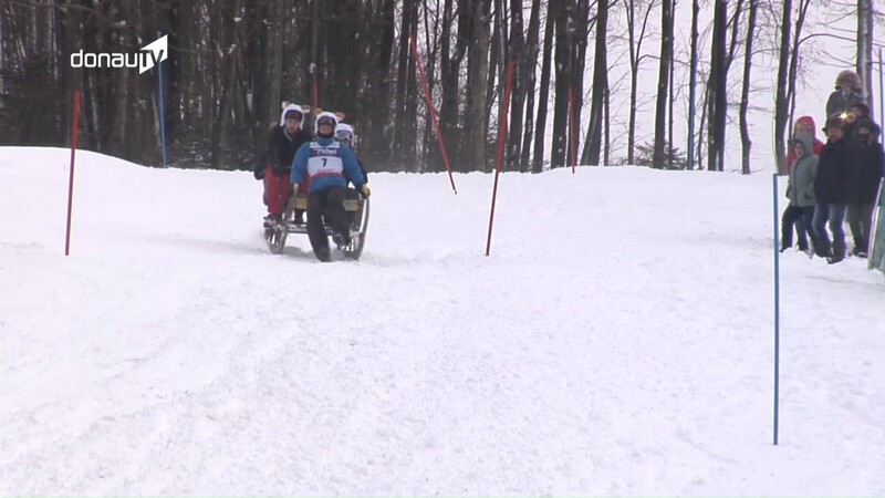 Das Zugschlittenrennen in Langdorf gehört zu den unkonventionellen Wintersportarten.