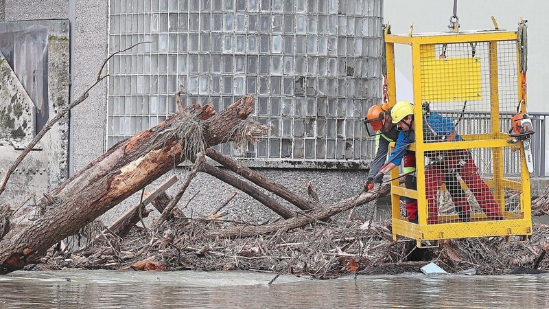 Ein Kran ließ zwei Mitarbeiter in einem Korb zu der Treibgutinsel vor dem Maxwehr herunter. Sie versuchten, die verkeilten Bäume wieder in Bewegung zu bringen.