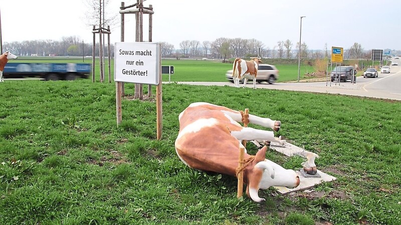 "Sowas macht nur ein Gestörter" - die Bürger haben ihre deutliche Meinung zum Vandalismus auf dem Kuh-Kreisel in Gottfrieding.