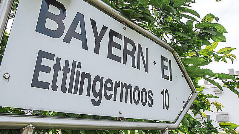 Das Landratsamt Straubing-Bogen hat Strafanzeige gegen den Verfasser des anonymen Briefes, der im Bayern-Ei-Untersuchungsausschuss zur Sprache kam, bei der Staatsanwaltschaft Regensburg gestellt (Archiv).