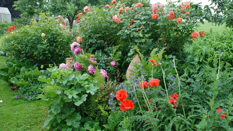 Gartenfreunde sollten sich den 28. Juni vormerken. Dann lädt Wiesenfelden zum Tag der offenen Gartentür. (Foto: Andrea Prechtl)