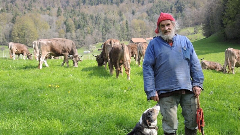 Der Bergbauer Armin Capaul steht auf seiner Farm in Perrefitte bei Moutier (Schweiz) im Berner Jura vor seiner Kuhherde. Sollen Kühe und Ziegen ihre Hörner behalten? In der Schweiz ist das ein Fall für die direkte Demokratie. Fast im Alleingang hat ein uriger Bergbauer eine Volksabstimmung zur Hörnerfrage durchgesetzt.