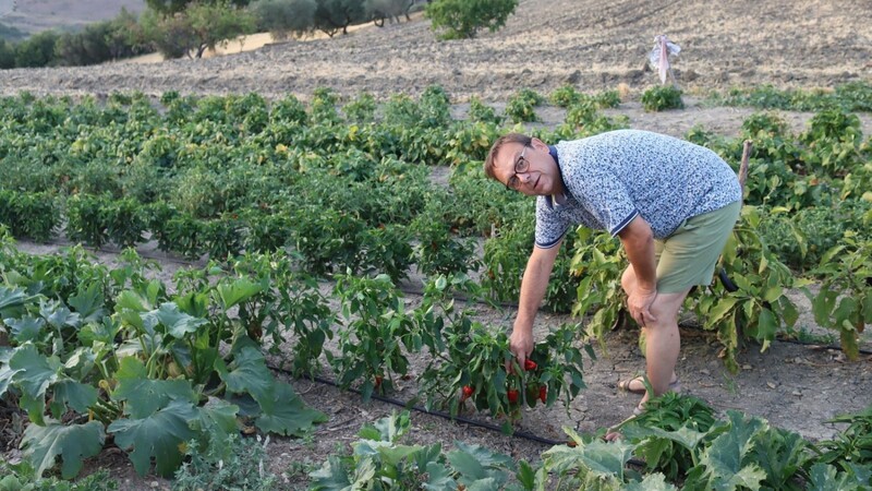 So wie der von Bürgermeister Franz Wittmann bei seinem Besuch in der Region Molise im August 2021 inspizierte Gemüsegarten, könnten die virtuell erwerbbaren Naturgärten aussehen. Der rote Paprika gedeiht dort prächtig.