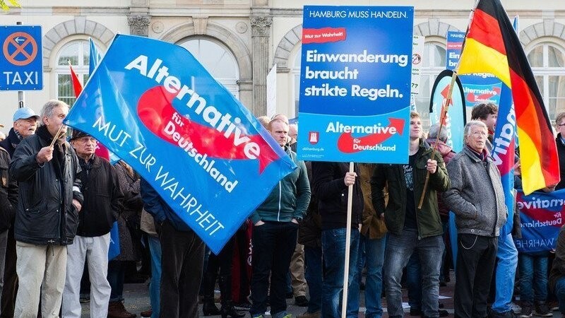 Anhänger der Partei Alternative für Deutschland (AfD) halten am 31.10.2015 in Hamburg während einer Kundgebung Fahnen und ein Plakat mit der Aufschrift "Einwanderung braucht strikte Regeln" hoch.