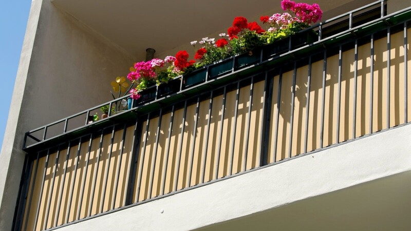 Rückte die Polizei an, machten sich Dealer und Drogenkonsumenten über den Balkon vom Acker. neugierigen Blicken zu schützen.
