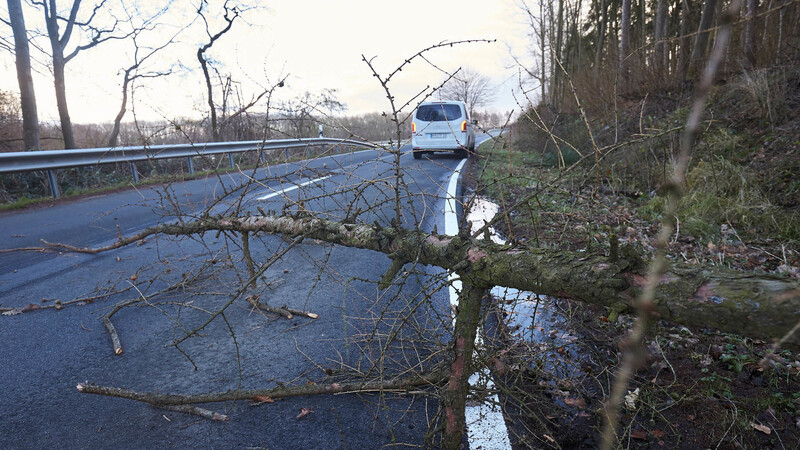 Umgestürzte Bäume blockierten den Weg (Symbolbild)