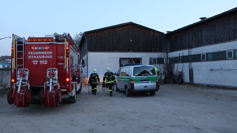 Früh ausrücken mussten die Feuerwehrler vom Löschzug Zentrum am Mittwoch in Straubing. Auf dem Gelände der Trabrennbahn war zuvor ein Brand gemeldet worden.